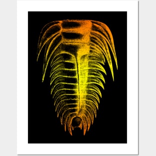 Trilobite Orange Yellow Color Splash Design Posters and Art